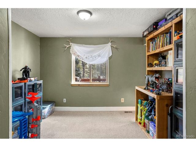 4076 Omer Ln, Divide, CO 80814