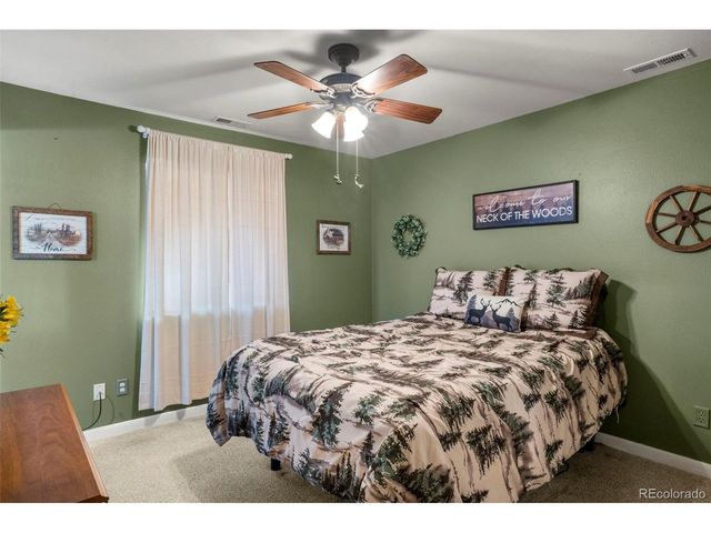 4076 Omer Ln, Divide, CO 80814