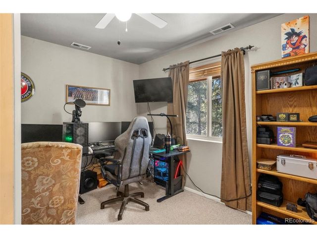 4076 Omer Ln, Divide, CO 80814