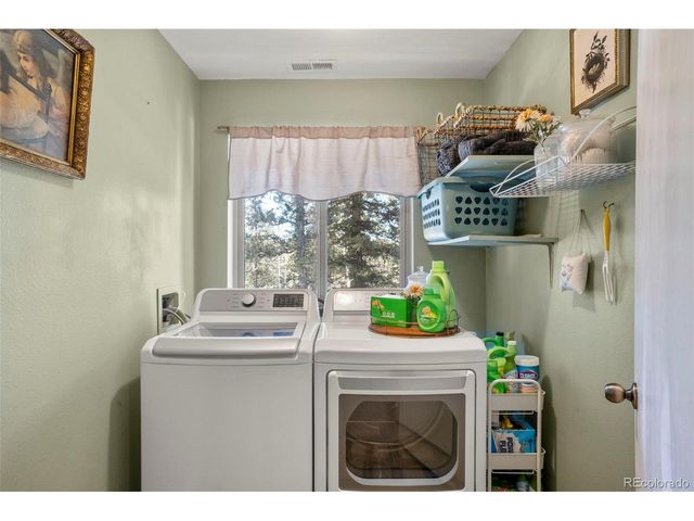 4076 Omer Ln, Divide, CO 80814