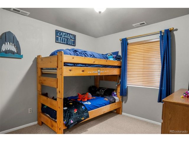 4076 Omer Ln, Divide, CO 80814