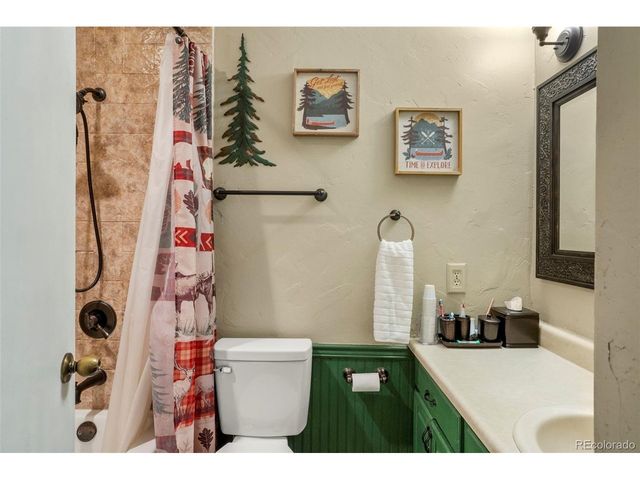 4076 Omer Ln, Divide, CO 80814