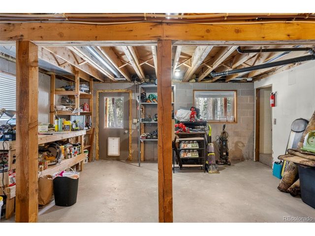 4076 Omer Ln, Divide, CO 80814