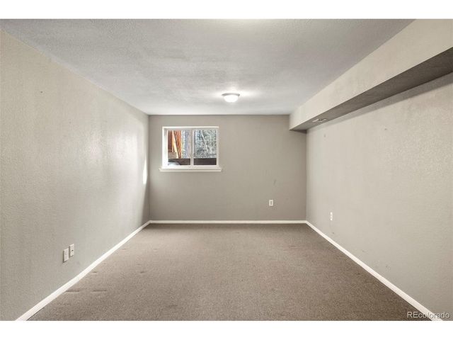 4076 Omer Ln, Divide, CO 80814