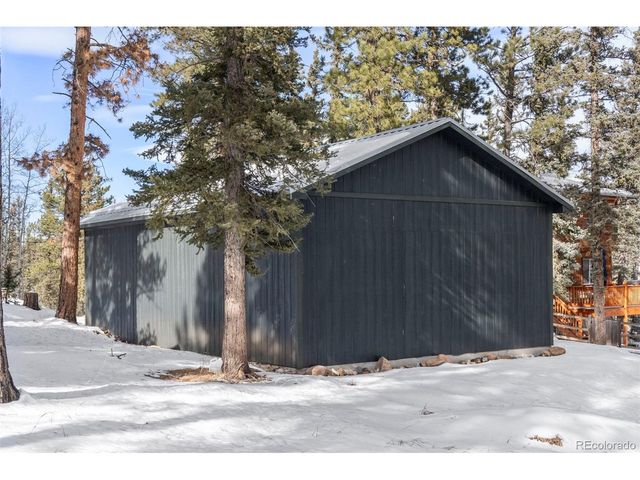 4076 Omer Ln, Divide, CO 80814