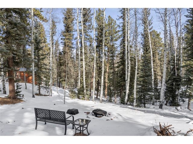 4076 Omer Ln, Divide, CO 80814