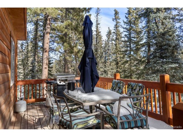 4076 Omer Ln, Divide, CO 80814