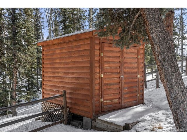 4076 Omer Ln, Divide, CO 80814