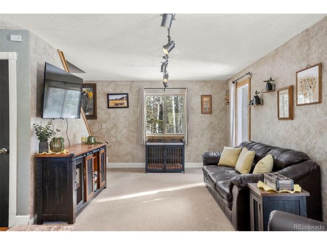 4076 Omer Ln, Divide, CO 80814