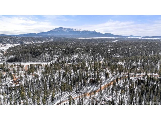 4076 Omer Ln, Divide, CO 80814