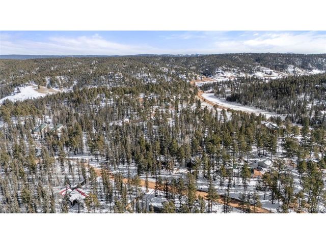 4076 Omer Ln, Divide, CO 80814