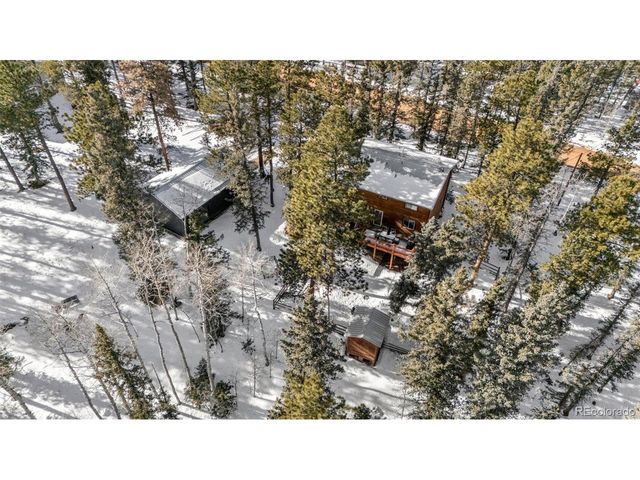 4076 Omer Ln, Divide, CO 80814