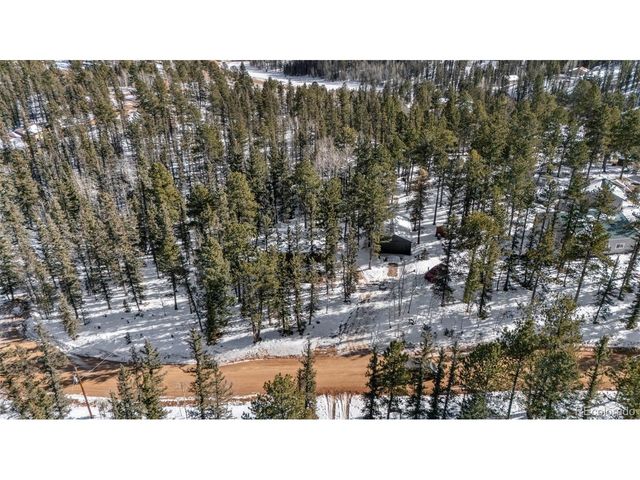 4076 Omer Ln, Divide, CO 80814