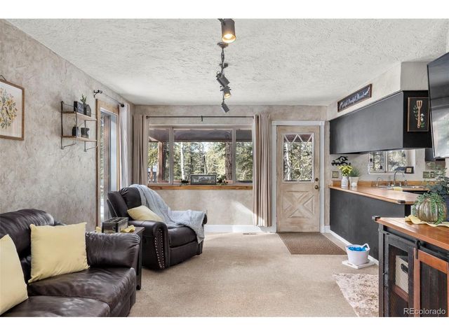 4076 Omer Ln, Divide, CO 80814