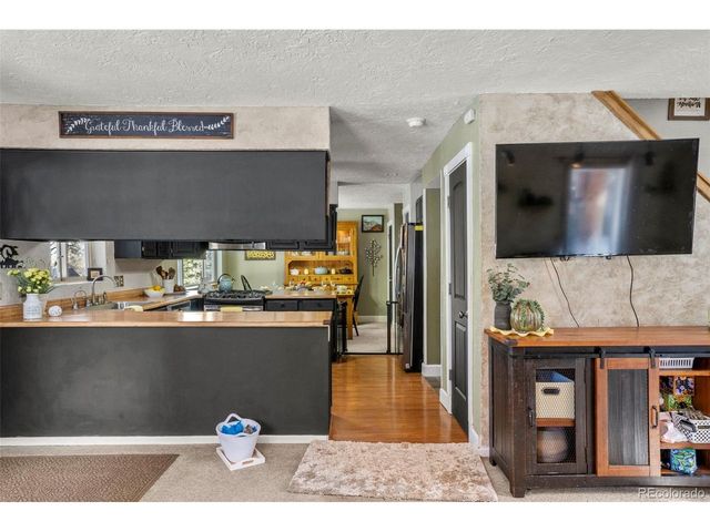 4076 Omer Ln, Divide, CO 80814