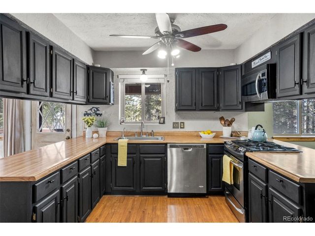 4076 Omer Ln, Divide, CO 80814