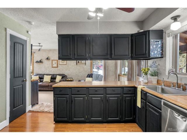 4076 Omer Ln, Divide, CO 80814