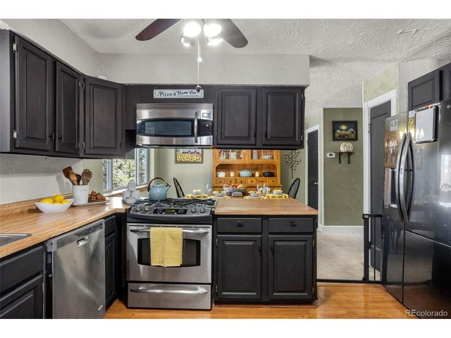 4076 Omer Ln, Divide, CO 80814