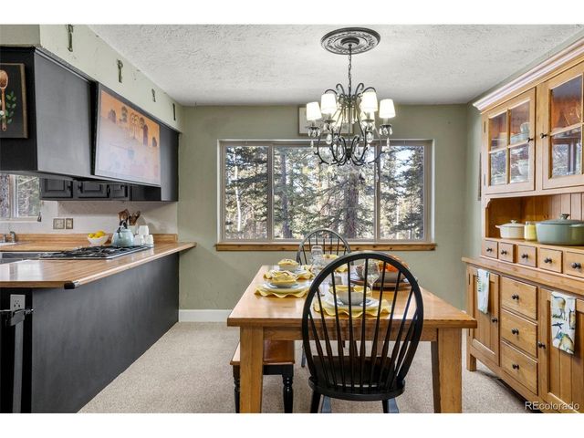 4076 Omer Ln, Divide, CO 80814