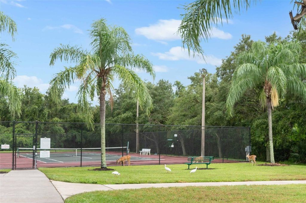 Image 72 of property listing at 289 PETREL TRAIL, Bradenton, FL 34212