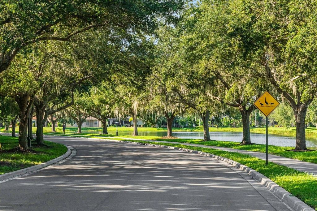 Image 84 of property listing at 289 PETREL TRAIL, Bradenton, FL 34212