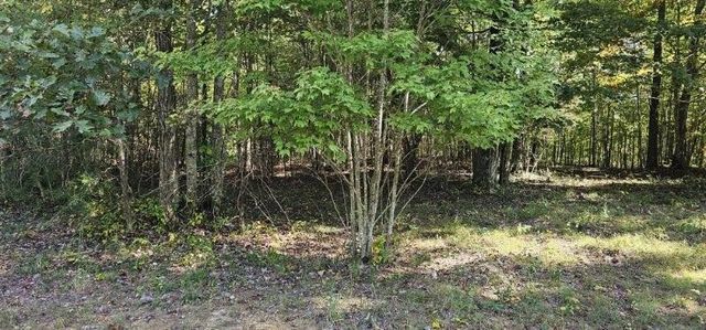 515 Wilderness Way, Dunlap, TN 37327
