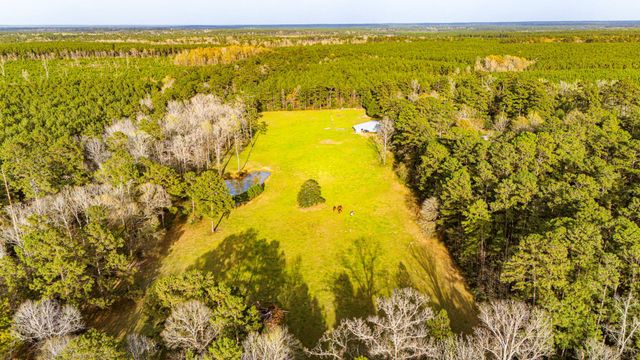 5146 Richardson Rd E, Livingston, TX 77351