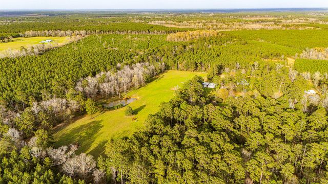 5146 Richardson Rd E, Livingston, TX 77351