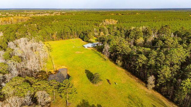 5146 Richardson Rd E, Livingston, TX 77351