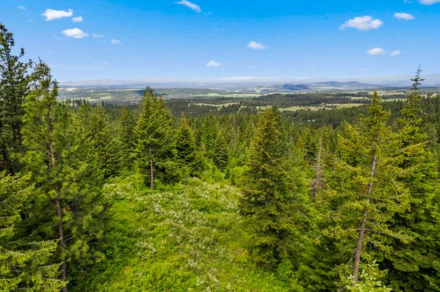 15124 E Emery Rd, Chattaroy, WA 99003