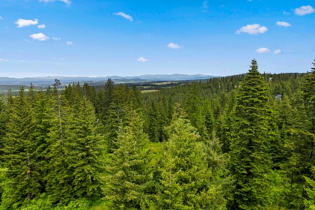 15124 E Emery Rd, Chattaroy, WA 99003
