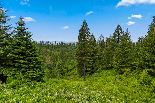 15124 E Emery Rd, Chattaroy, WA 99003