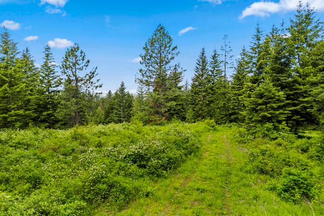 15124 E Emery Rd, Chattaroy, WA 99003
