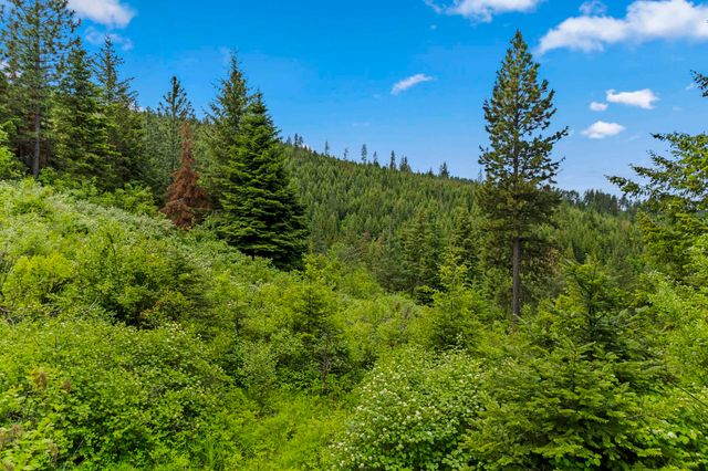 15124 E Emery Rd, Chattaroy, WA 99003