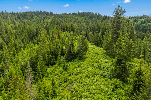 15124 E Emery Rd, Chattaroy, WA 99003