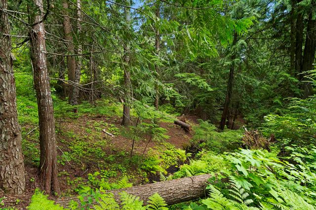 15124 E Emery Rd, Chattaroy, WA 99003