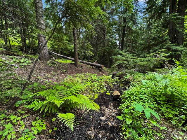 15124 E Emery Rd, Chattaroy, WA 99003