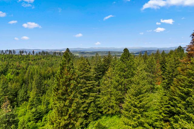 15124 E Emery Rd, Chattaroy, WA 99003