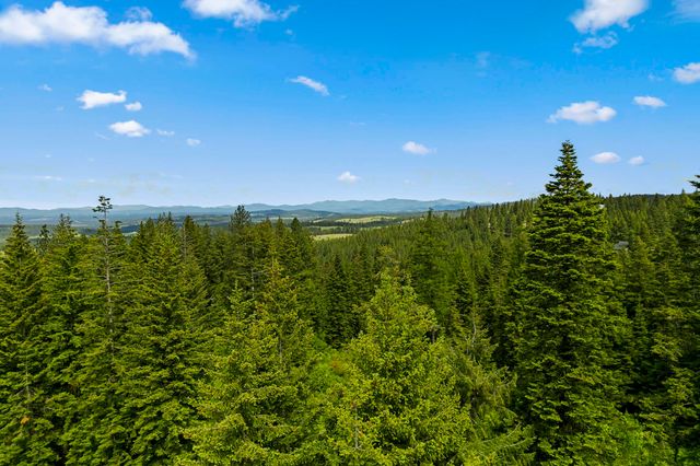 15124 E Emery Rd, Chattaroy, WA 99003