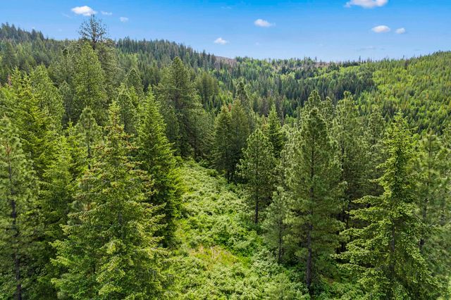 15124 E Emery Rd, Chattaroy, WA 99003