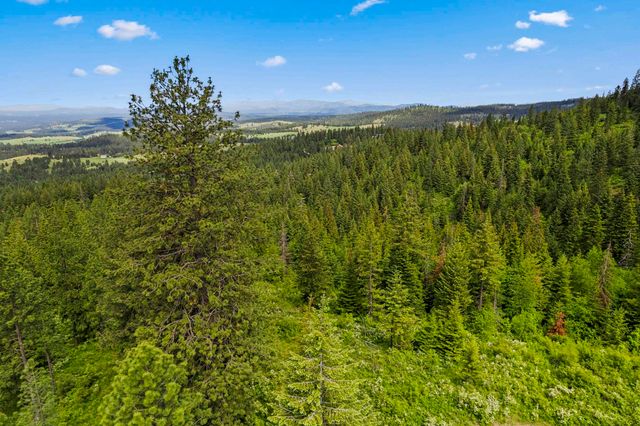 15124 E Emery Rd, Chattaroy, WA 99003