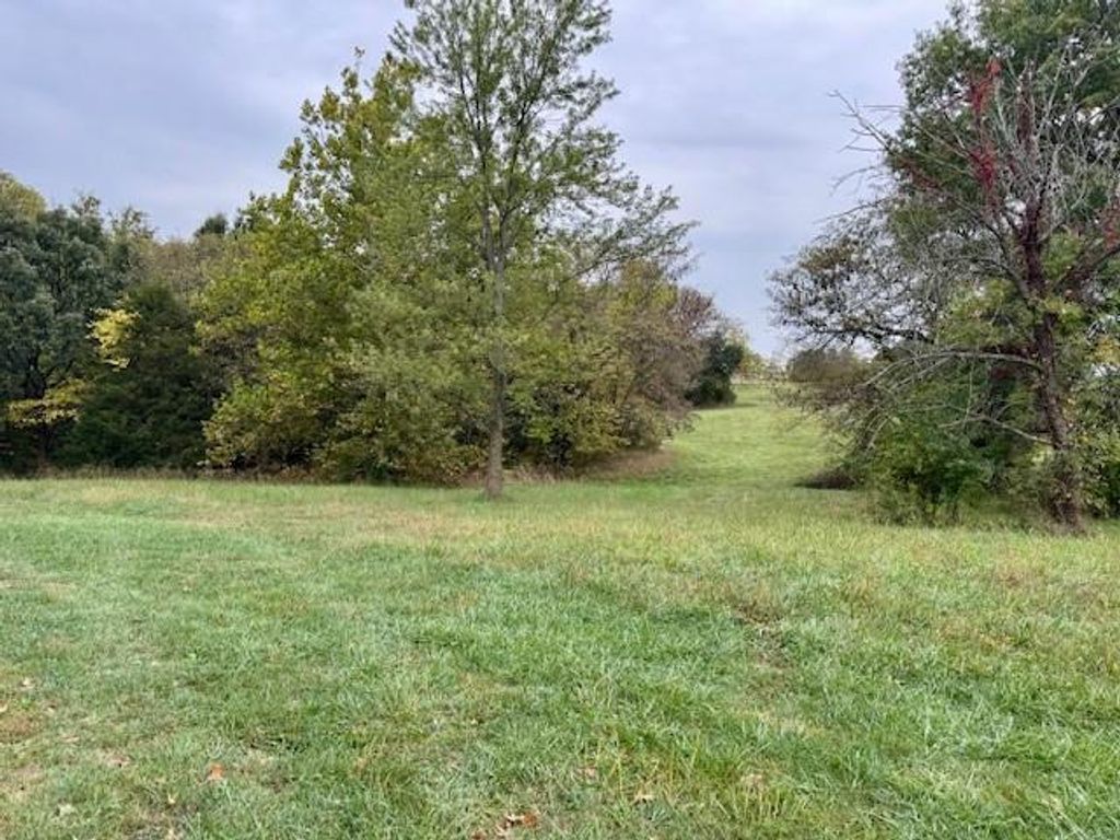 Lot 19 O Highway, Trimble, MO 64492