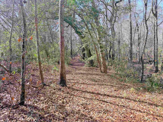 9.25 Acres Highway 9, Longs, SC 29568