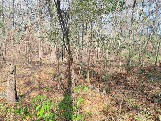 9.25 Acres Highway 9, Longs, SC 29568