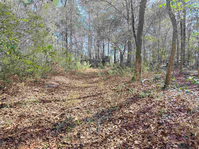 9.25 Acres Highway 9, Longs, SC 29568