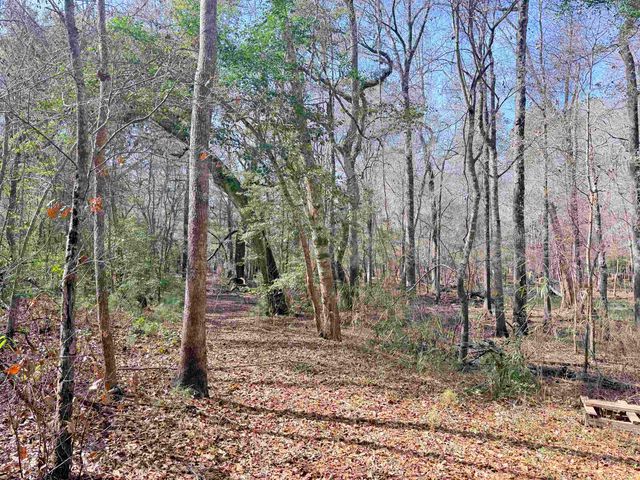 9.25 Acres Highway 9, Longs, SC 29568