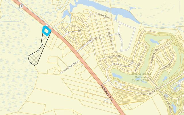 9.25 Acres Highway 9, Longs, SC 29568