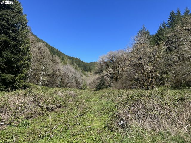 1910 OTTER SLOUGH Rd, Reedsport, OR 97467