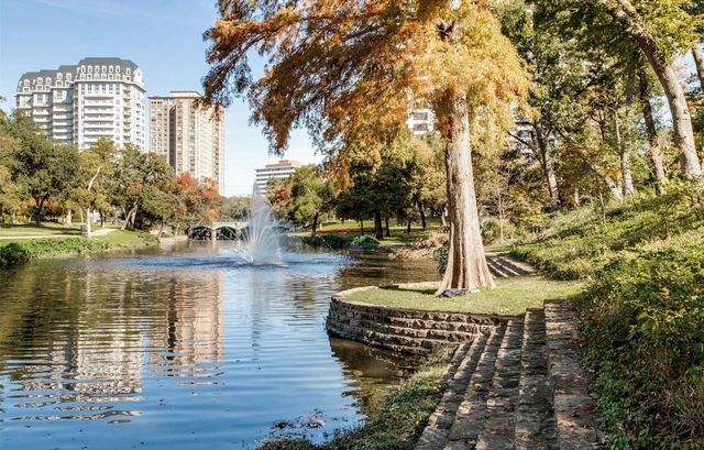 3225 Turtle Creek Boulevard 1117, Dallas, TX 75219