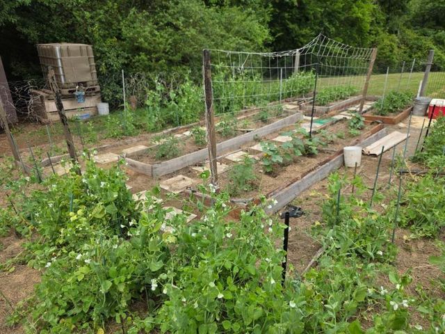 473 Meadow Road, Inman, SC 29349